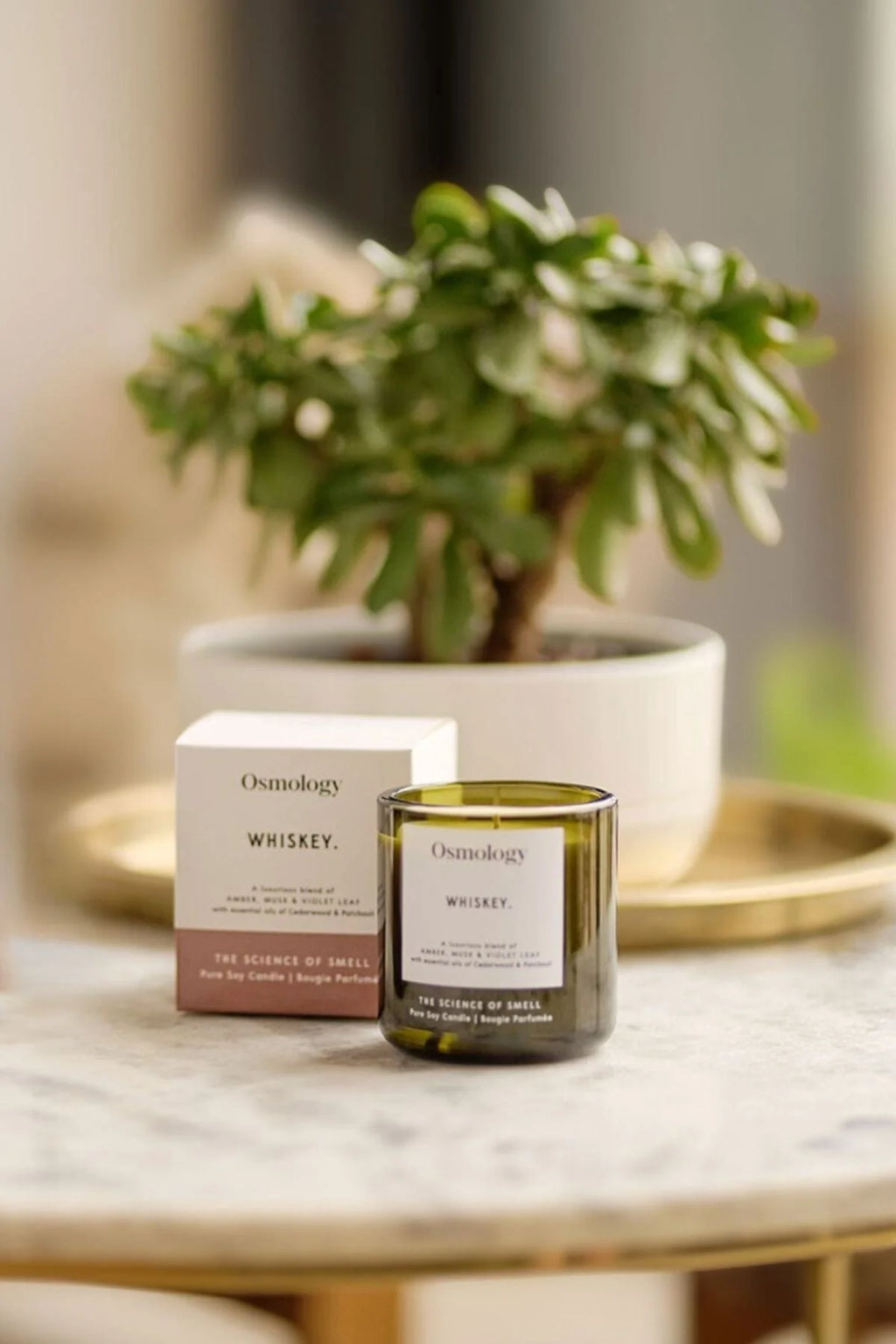 Osomology Whiskey Scented Candle